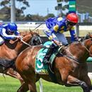 Mile suits Manhattan Force in Melbourne